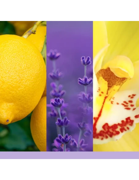 Yankee Candle - Scentplug Electric Diffuser Refill - Lemon Lavender