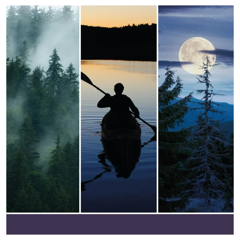 Yankee Candle - Ricarica per Diffusore Elettrico Scentplug - Midsummer’s Night®