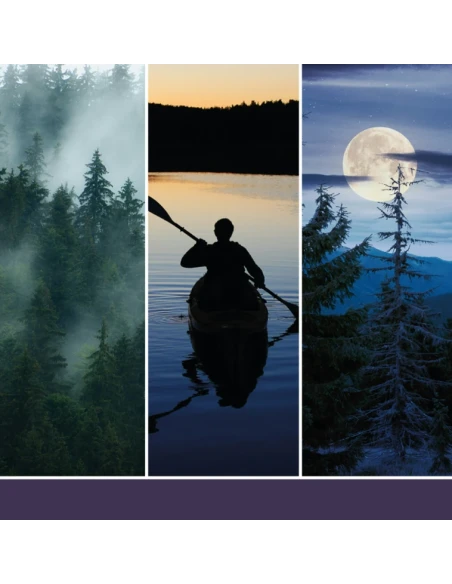 Yankee Candle - Scentplug Electric Diffuser Refill - Midsummer’s Night®