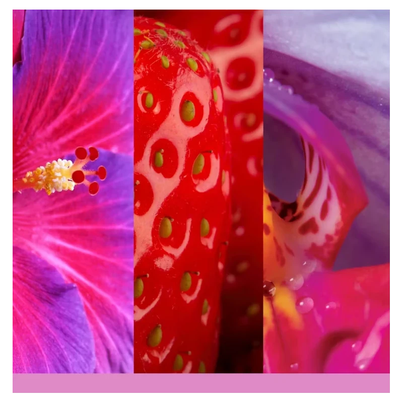 Yankee Candle - Scentplug Electric Diffuser Refill - Wild Orchid