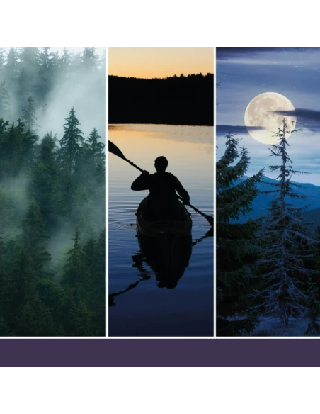 Yankee Candle - Diffusore a Bastoncini - Midsummer's Night®