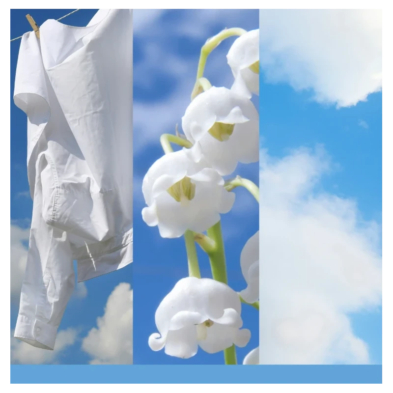 Yankee Candle - Reed Diffuser -  Clean Cotton®