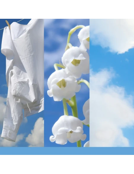 Yankee Candle - Reed Diffuser Refill - Clean Cotton®