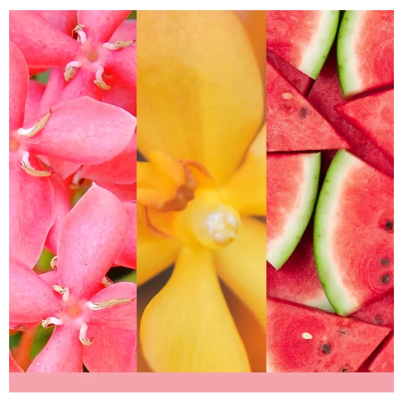 Yankee Candle - Ricarica per Diffusore a Bastoncini - Pink Sands