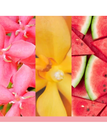 Yankee Candle - Ricarica per Diffusore a Bastoncini - Pink Sands