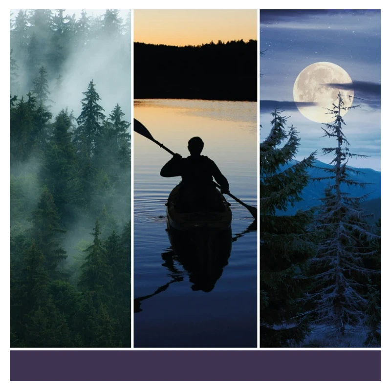 Yankee Candle Reed Diffuser Refill - Midsummer's Night®