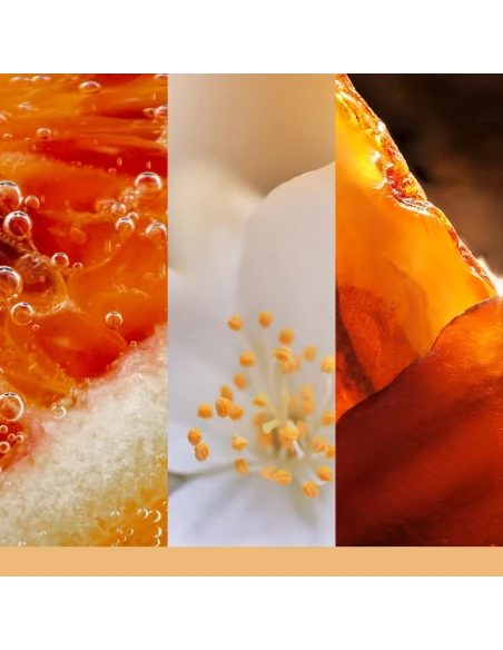 Yankee Candle - Glistening Leaves - Large Jar Candle