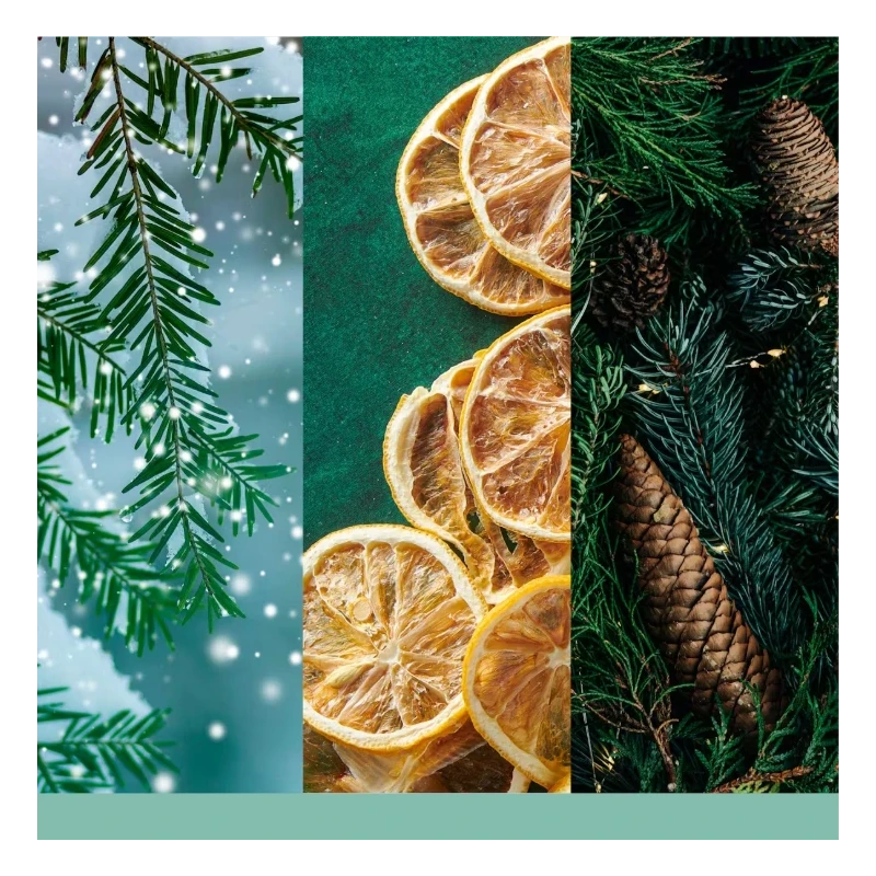 Yankee Candle - Holiday Winterfest - Large Jar Candle