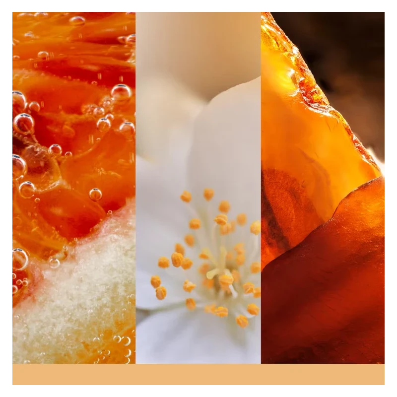 Yankee Candle - Glistening Leaves - Candela in Giara Media