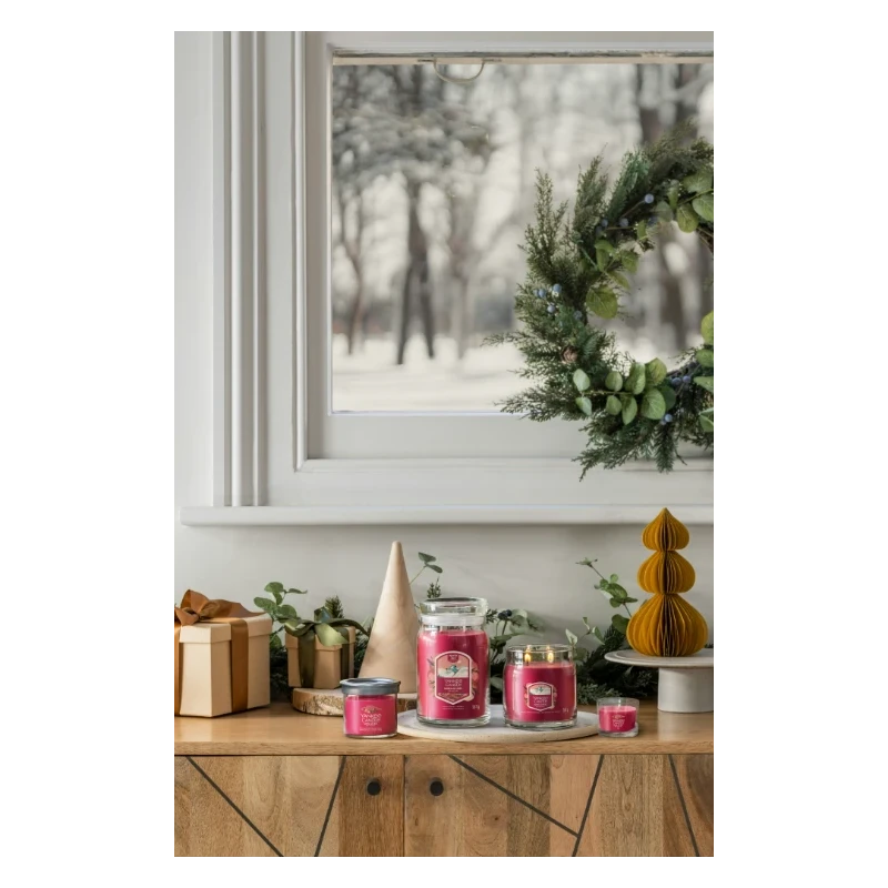 Yankee Candle - Santa on Skis - Small Tumbler Candle