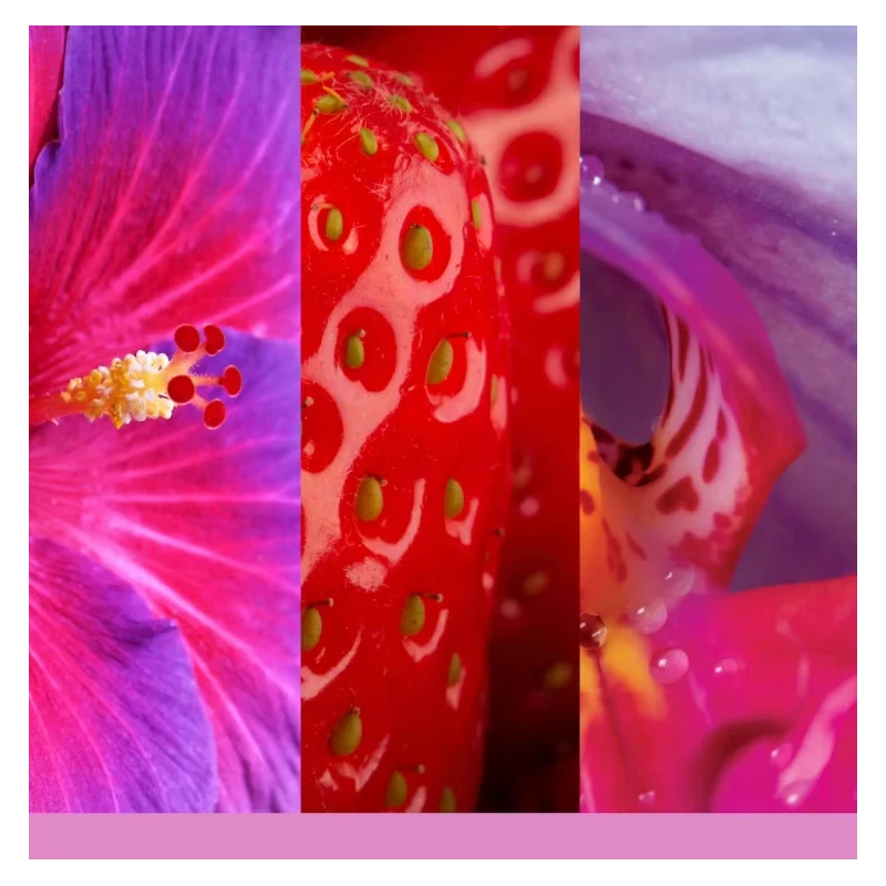 Yankee Candle - Wild Orchid - Small Tumbler Candle