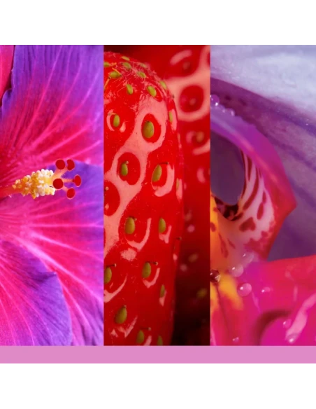 Yankee Candle - Wild Orchid - Candela Tumbler Piccola