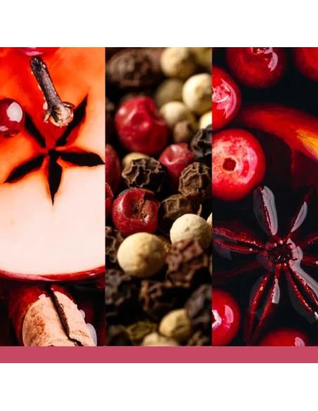 Yankee Candle - Santa on Skis - Candela in Giara Grande