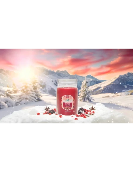 Yankee Candle - Santa on Skis - Candela in Giara Grande