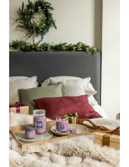 Yankee Candle - Summit Stargazing - Candela in Giara Grande