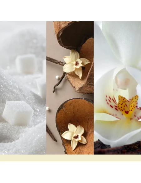 Yankee Candle - Vanilla Flurries - Candela in Giara Grande