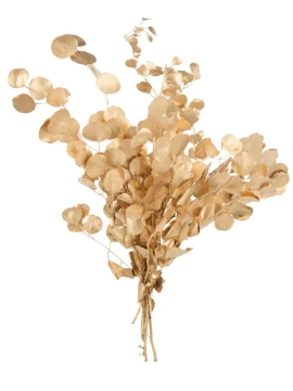 J-Line - Eucalyptus Dried Flower - Gold