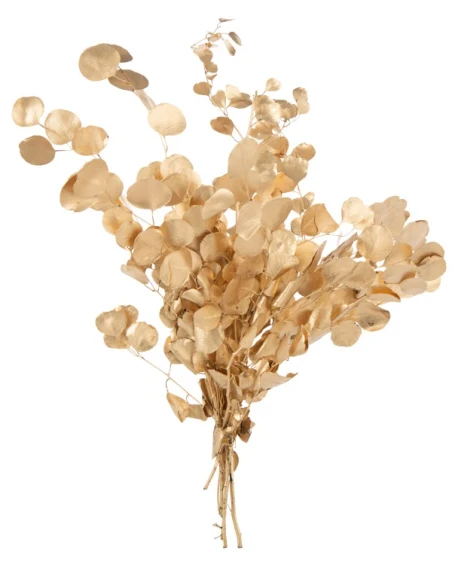 J-Line - Eucalipto Fiore Secco - Oro