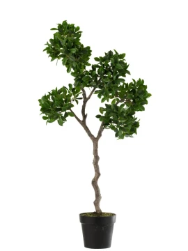 J-Line - Fico Albero Vaso Plastica - Verde / Nero