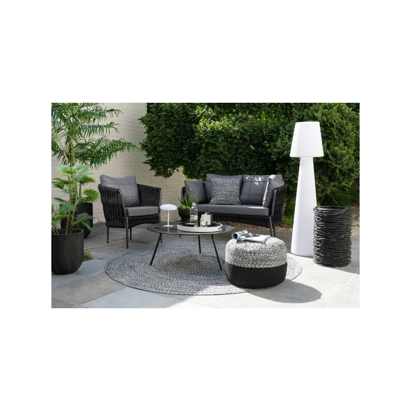 J-Line - Fan Palm + Plastic Pot - Green