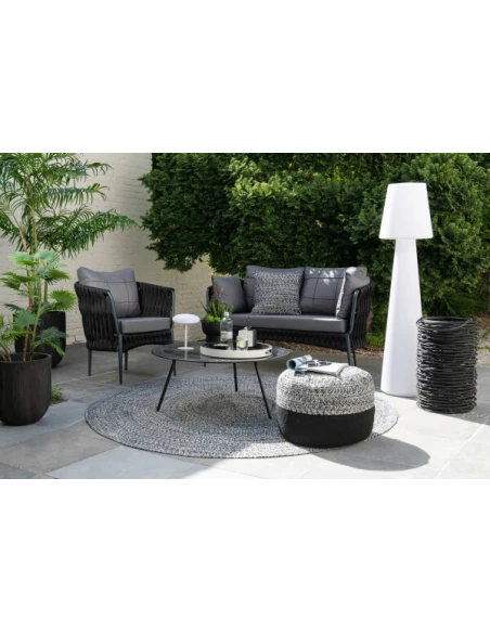 J-Line - Fan Palm + Plastic Pot - Green