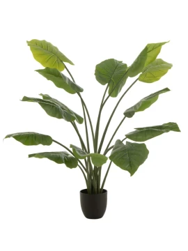 J-Line - Colocasia Esculenta + Plastic Vase - Green