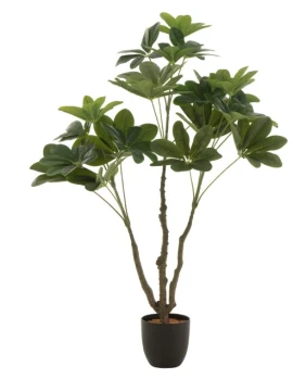 J-Line - Crassula + Vaso Plastica - Verde