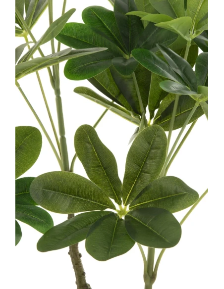 J-Line - Crassula + Vaso Plastica - Verde