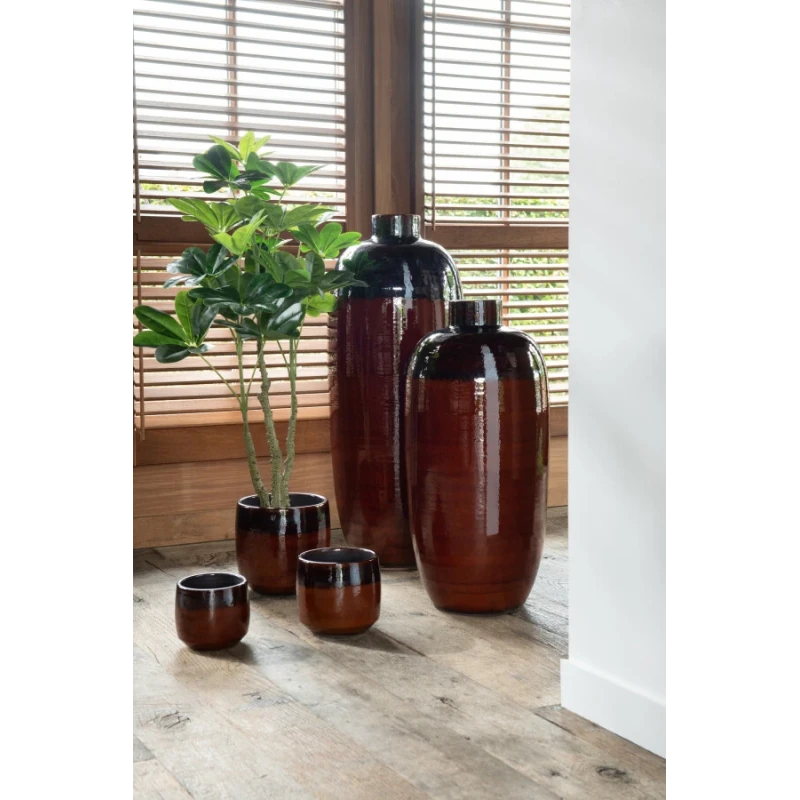 J-Line - Crassula + Vaso Plastica - Verde