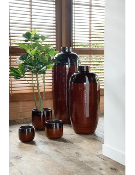 J-Line - Crassula + Plastic Pot - Green