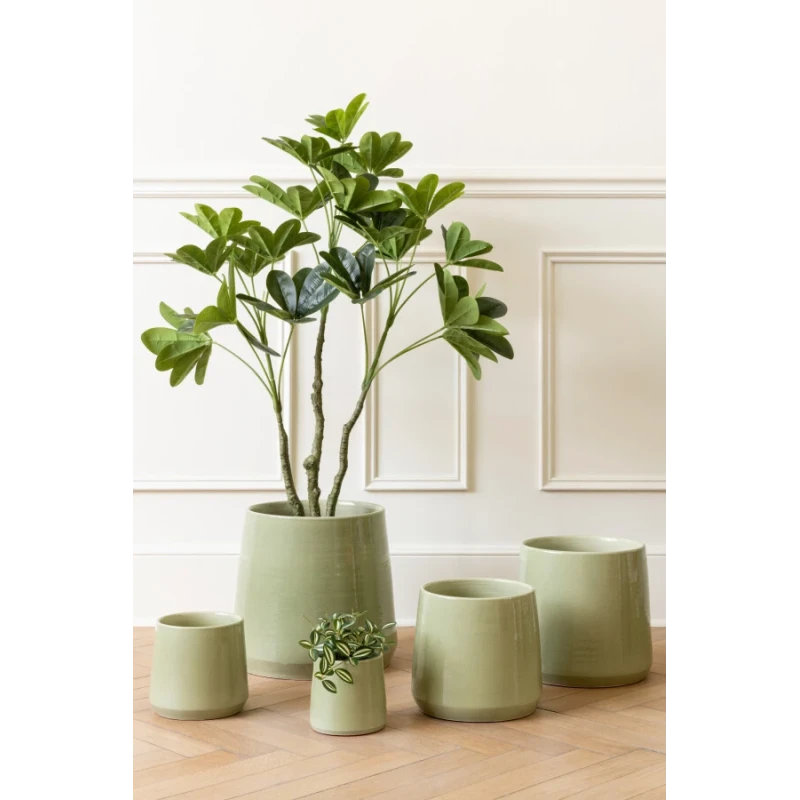 J-Line - Crassula + Vaso Plastica - Verde