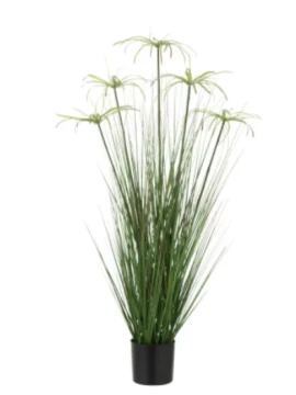 J-Line - Cyperus 5 Gemme + Vaso - Verde