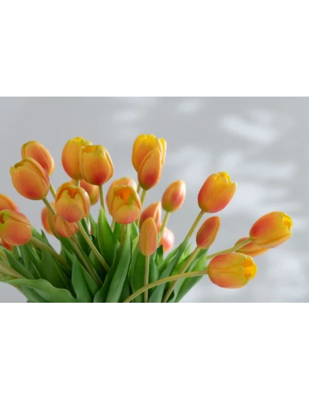 J-Line - 7-Piece Tulip Bouquet - Orange