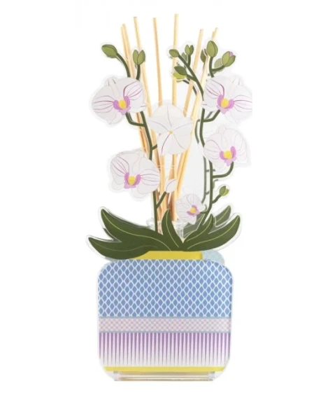 Vesta Home - Reed Diffuser - Livinia Orchidea White