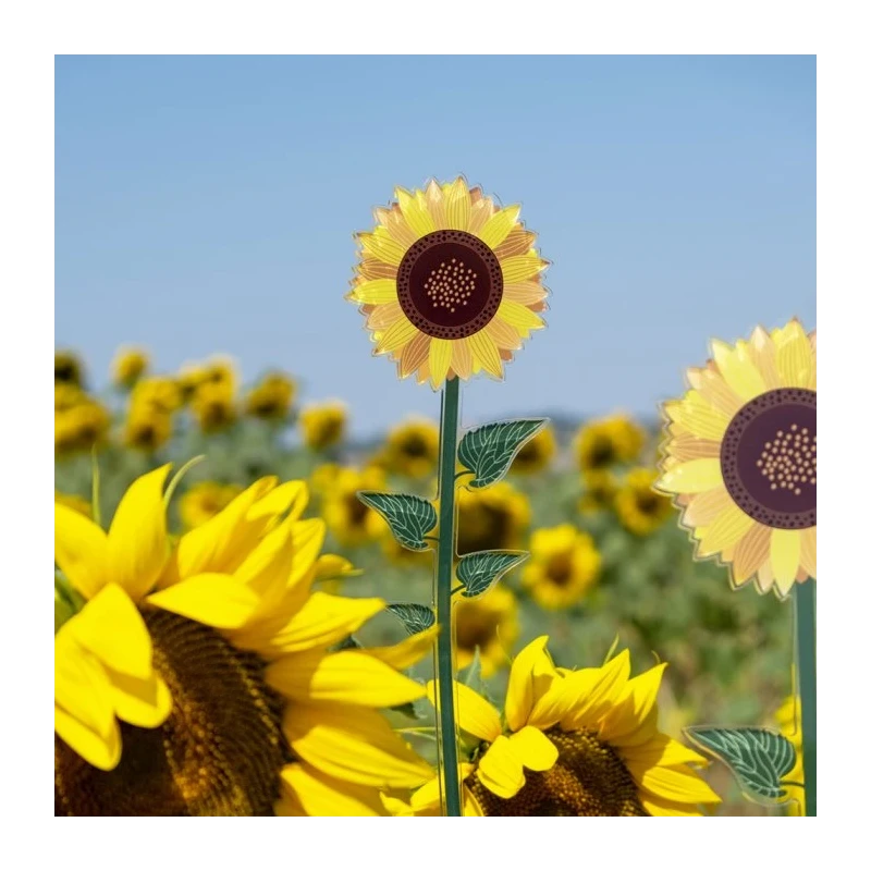 Vesta Home - Funny Flowers - Girasole