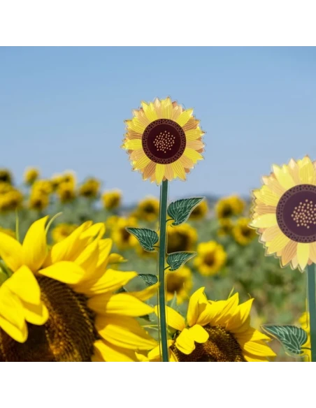 Vesta Home - Funny Flowers - Sunflower