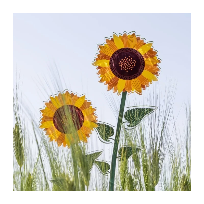 Vesta Home - Funny Flowers - Girasole